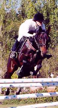 Shap montant Ckoka