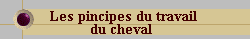 Les principes du travail du cheval.